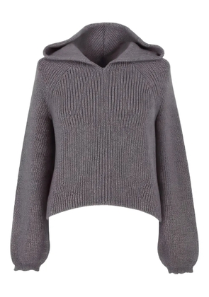 TWINSET hooded sweater - Grey