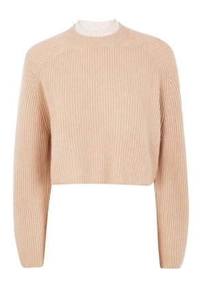 Max Mara ribbed wool sweater - Neutrals