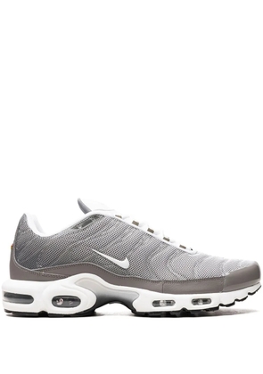 Nike Air Max Plus SE 'Flat Pewter' sneakers - Grey