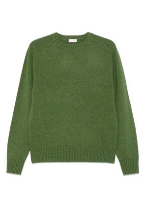FURSAC wool sweater - Green