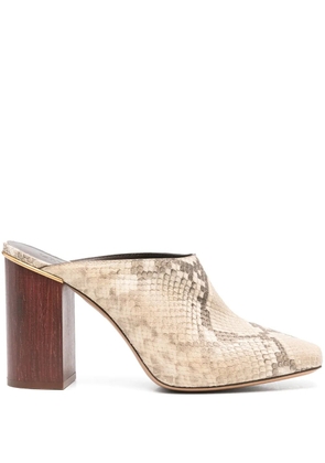 Chloé 95mm Ambre mules - Neutrals