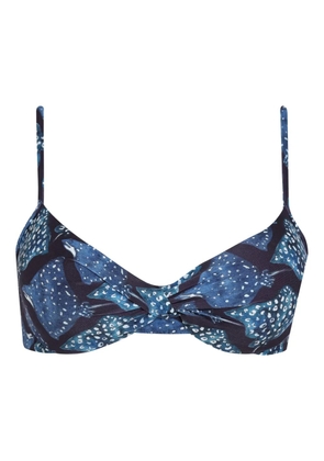 Lygia & Nanny Cassis bikini top - Blue