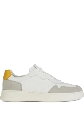 Geox Arvier suede leather panel sneakers - White