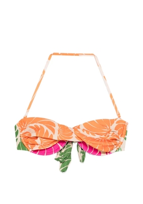 FARM Rio underwire floral bikini top - Pink