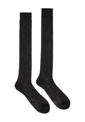 DSQUARED2 D2 Classic ribbed knee-high socks - Black