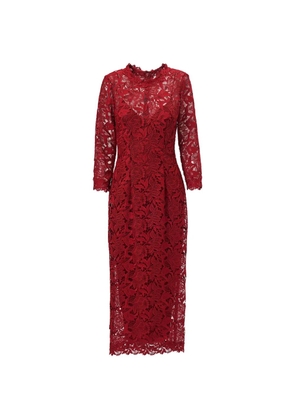 Carolina Herrera tulip-embroidered lace midi dress