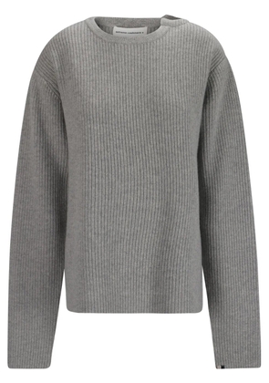 extreme cashmere cashmere sweater - Grey