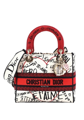 Christian Dior Pre-Owned Lady D-Lite Bag Embroidered Canvas Medium satchel - Neutrals