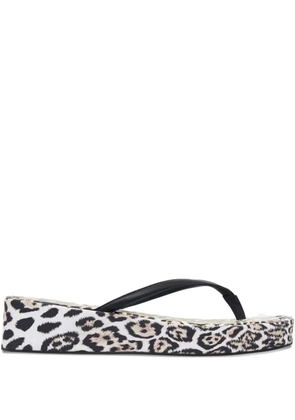 Camilla 40mm Cool For Cats platform flip-flops - Black