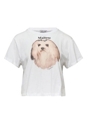 Ashley Williams maltese-dog graphic T-shirt - White