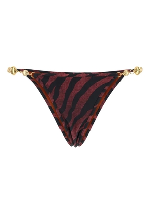 Reina Olga Splash bikini bottoms - Brown
