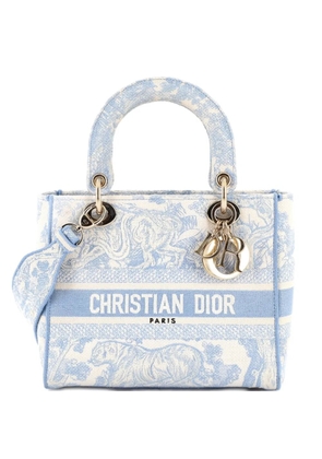Christian Dior Pre-Owned Lady D-Lite Bag Embroidered Canvas Medium satchel - Blue