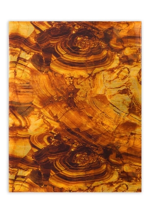 Roberto Cavalli abstract-print scarf - Brown
