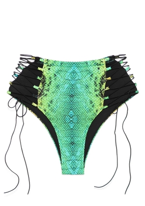 Noire Swimwear snake-print high-waist bikini bottoms - Green