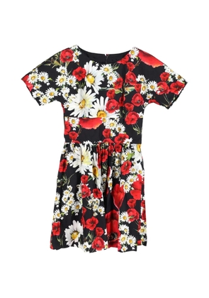 Dolce & Gabbana Pre-Owned floral-print fitted mini dress - Black