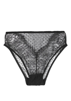 Dolce & Gabbana point d'esprit sheer briefs - Black