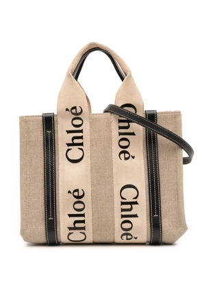 Chloé Pre-Owned 2010-2025 Small Canvas Woody Tote satchel - Brown