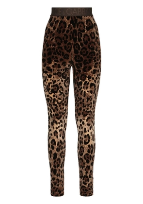 Dolce & Gabbana leopard-print jacquard leggings - Brown