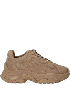 Ash Addict suede sneakers - Brown