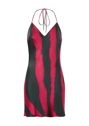 Roberto Cavalli striped dress - Black