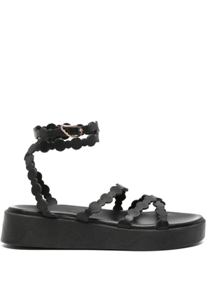 Ancient Greek Sandals Aspis flatform leather sandals - Black