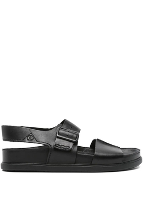 Clarks Torford buckle-strap leather sandals - Black