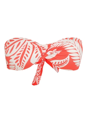 Lygia & Nanny Hawaii bikini top - Orange