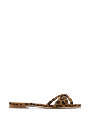 Malone Souliers Penn animal print sandals - Brown