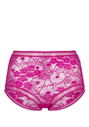 ERES Acacia high-waist lace briefs - Pink