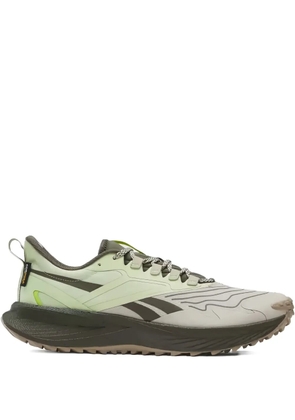 Reebok Floatride Energy 5 'Taupe/Green' sneakers - Grey