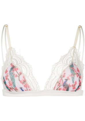 Dolci Follie peacock print triangle bra - White