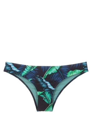 Lygia & Nanny Waikiki leaf-print bikini bottoms - Blue