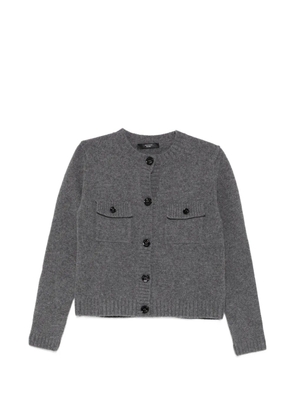 Weekend Max Mara Olbia button-front cardigan - Grey