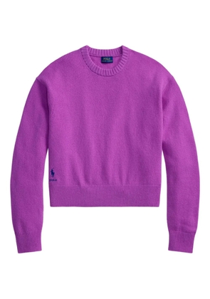 Polo Ralph Lauren Polo Pony-embroidered sweater - Purple