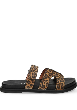 Bibi Lou leopard-print slides - Brown