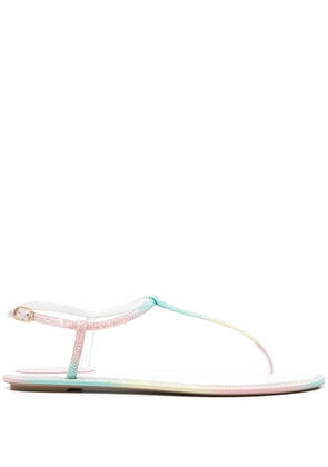 René Caovilla Diana Burano flat sandals - Green