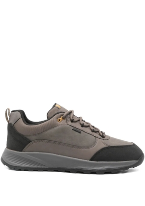 Geox leather trainers - Grey