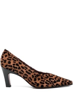 Roberto Festa Wara leopard-print pumps - Brown