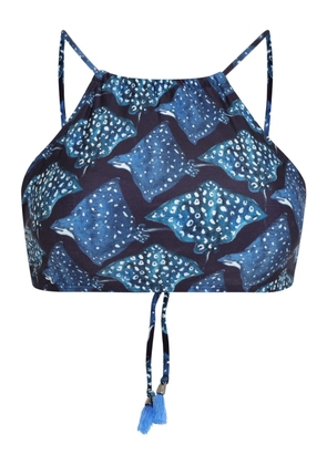 Lygia & Nanny Ilana bikini top - Blue