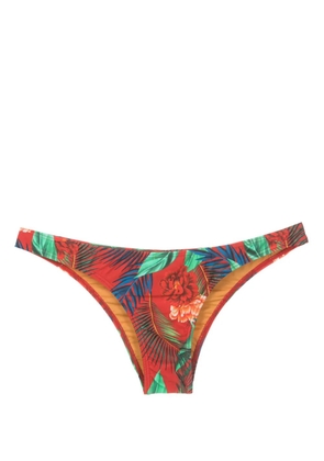 Lygia & Nanny Poipu floral-print bikini bottoms - Red