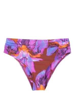 Lenny Niemeyer floral-print bikini briefs - Purple