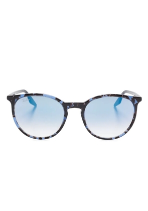 Ray-Ban RB2204 sunglasses - Brown