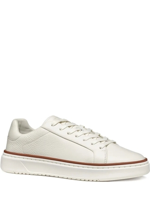 Geox Zackerty sneakers - White