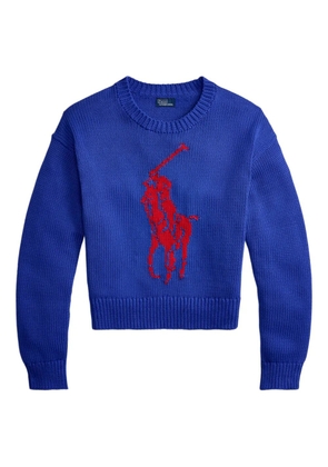 Polo Ralph Lauren Big Pony sweater - Blue