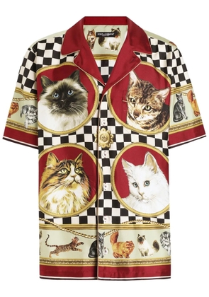 Dolce & Gabbana mix-print shirt - Neutrals