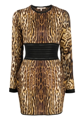Roberto Cavalli leopard-print fitted minidress - Brown
