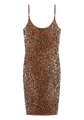 Versace leopard-jacquard midi dress - Brown