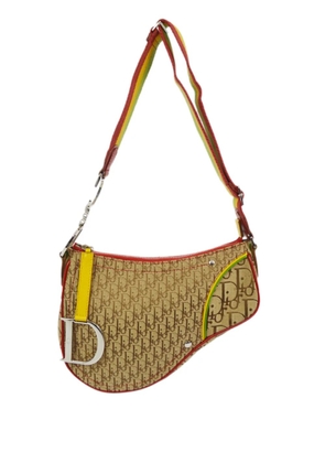 Christian Dior Pre-Owned 2004 Rasta Oblique Saddle shoulder bag - Neutrals