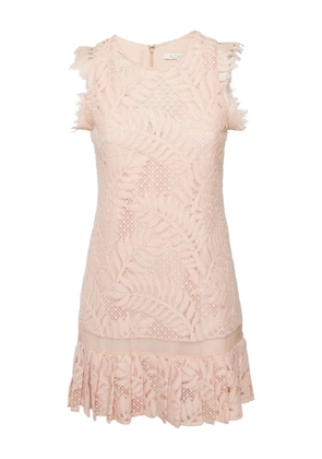 Alexis lace shift dress - Pink