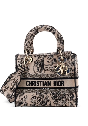 Christian Dior Pre-Owned Lady D-Lite Bag Embroidered Canvas Medium satchel - Black